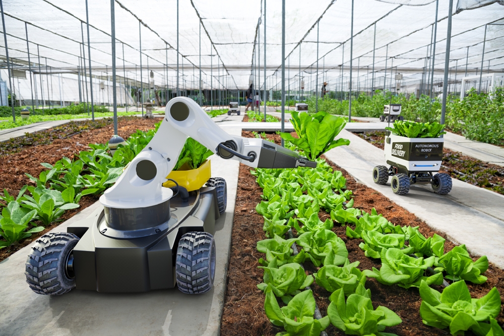 robotics in agriculture